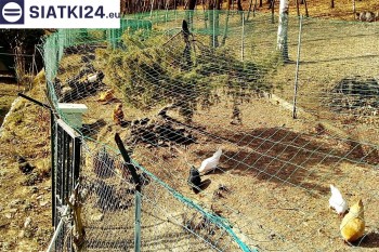 Siatki Piła - Siatka na woliery - zabezpieczenia ptaków w hodowli dla terenów Miata Piła